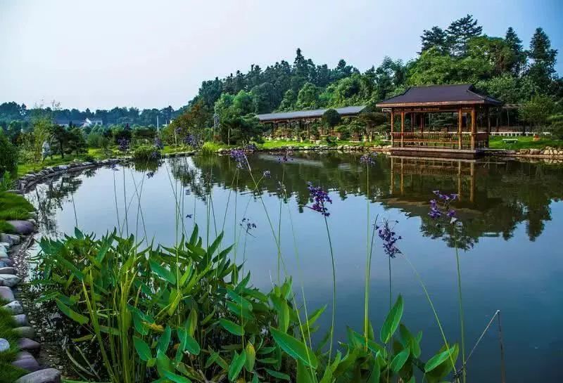 长沙河西农家乐和休闲农庄,长沙最佳生态农庄