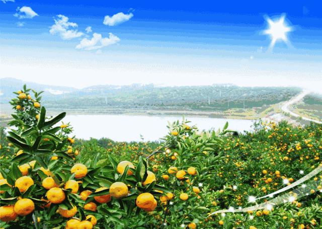 长沙河西农家乐和休闲农庄,长沙最佳生态农庄