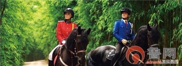 恒大地产淄博养生谷最新消息,淄博市恒大养生谷平面图