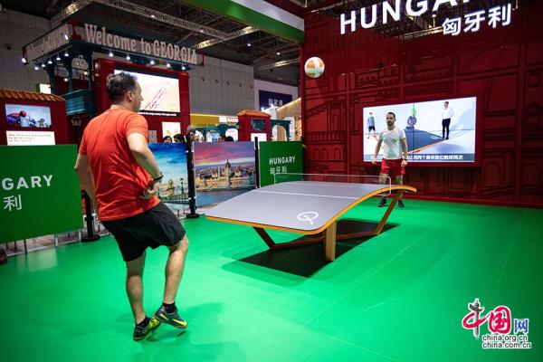 19年进博会展示图,进博会国家展馆