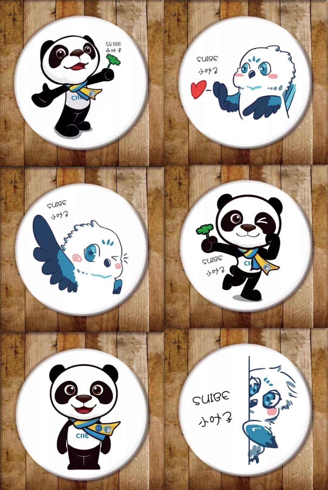 进博会小叶子上海理工大学,进博会中的小叶子