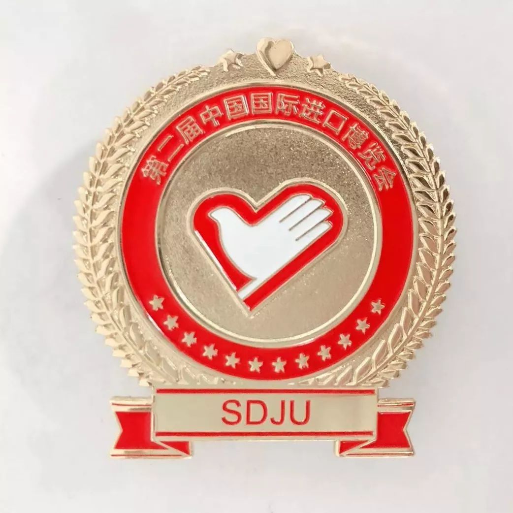 进博会小叶子上海理工大学,进博会中的小叶子