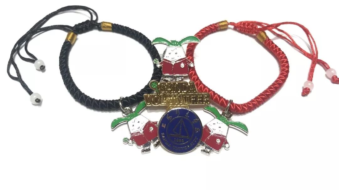 进博会小叶子上海理工大学,进博会中的小叶子