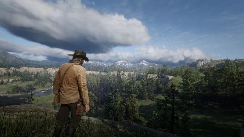 pc版的荒野大镖客2什么配置能玩,pc版荒野大镖客2是单机游戏吗