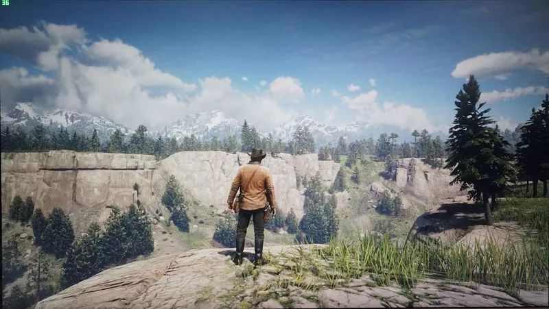 pc版的荒野大镖客2什么配置能玩,pc版荒野大镖客2是单机游戏吗