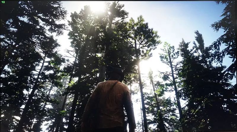 pc版的荒野大镖客2什么配置能玩,pc版荒野大镖客2是单机游戏吗