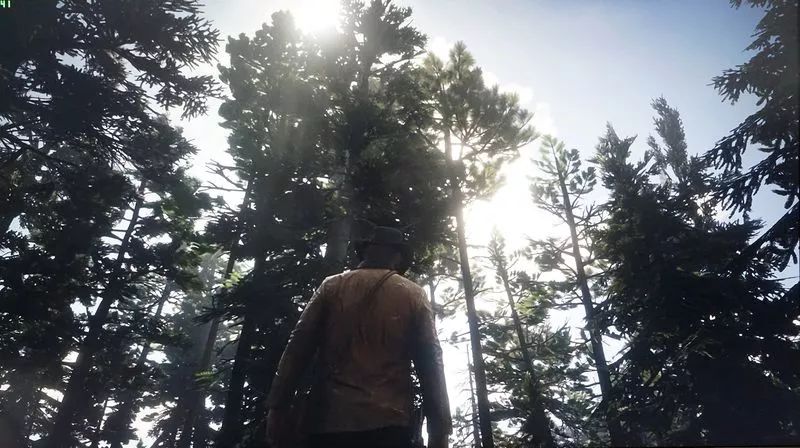 pc版的荒野大镖客2什么配置能玩,pc版荒野大镖客2是单机游戏吗