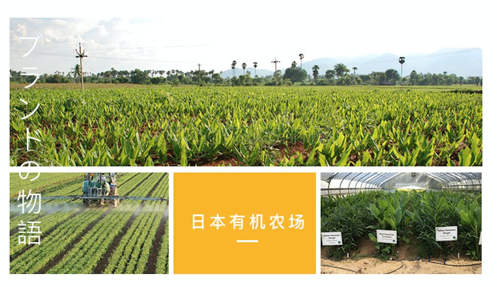 今天推俩福利：年货不能没肉；过节喝酒不能没这个保护神