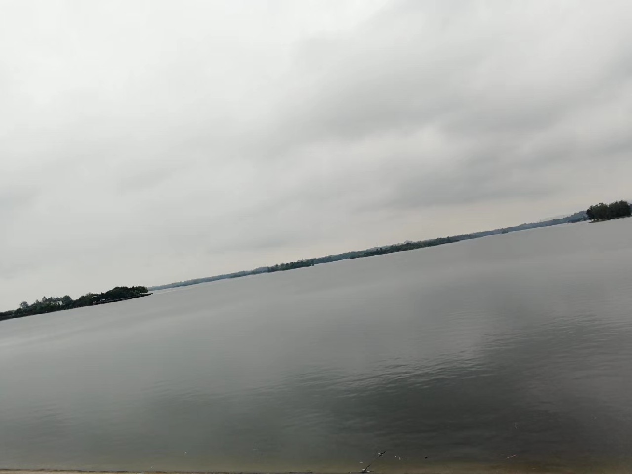 红虫有毒吗？用红虫挂饵应该关注什么？