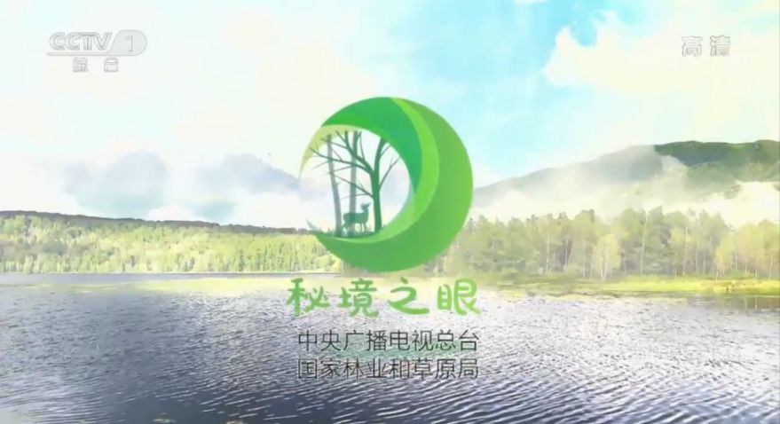 艺高胆大的动物是什么,艺高胆大什么生肖动物