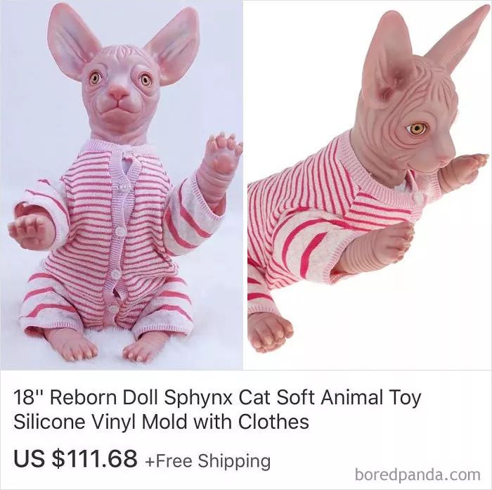 国外的闲鱼卖家，一样有毒...