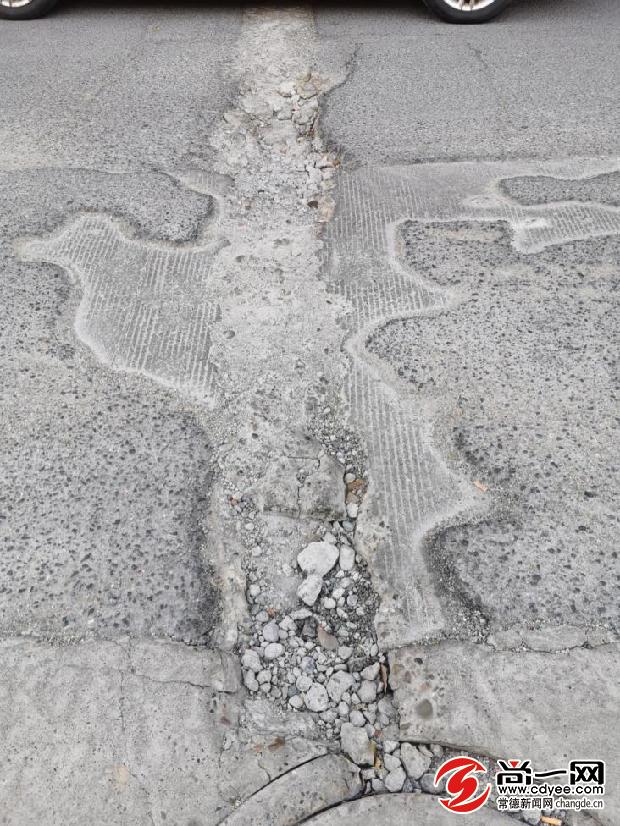 坑你没商量前面一句,坑你没商量前半句