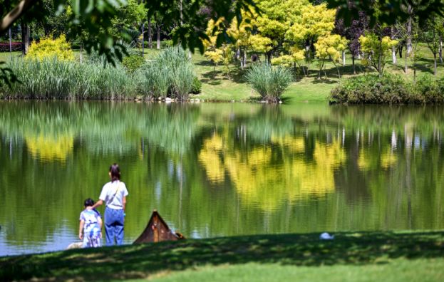天府中央商务区楼盘,成都天府新区河畔新世界一期实景