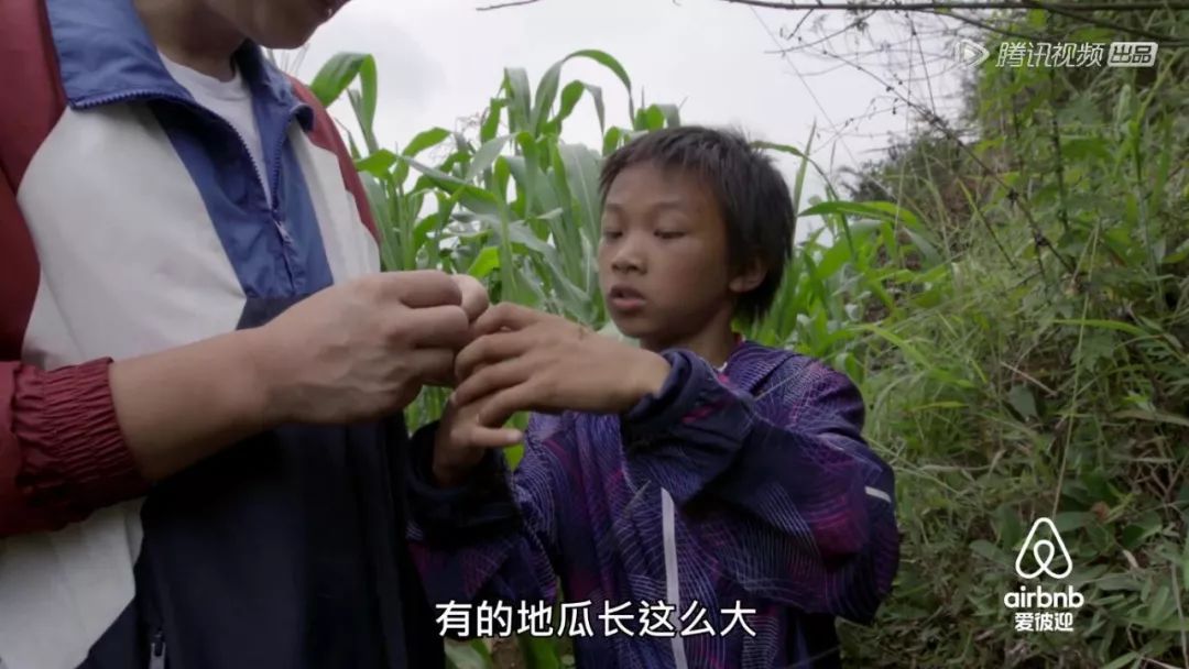 奇遇人生大鹏感动流泪,奇遇人生观看