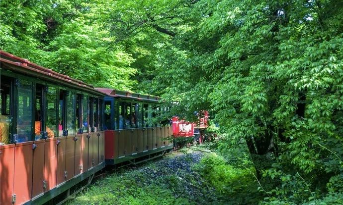 这座免签小岛，几乎出现在了每一部浪漫韩剧里