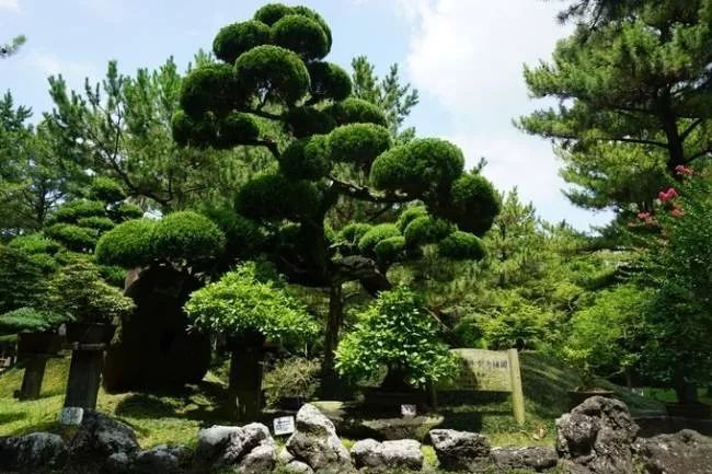 这座免签小岛，几乎出现在了每一部浪漫韩剧里