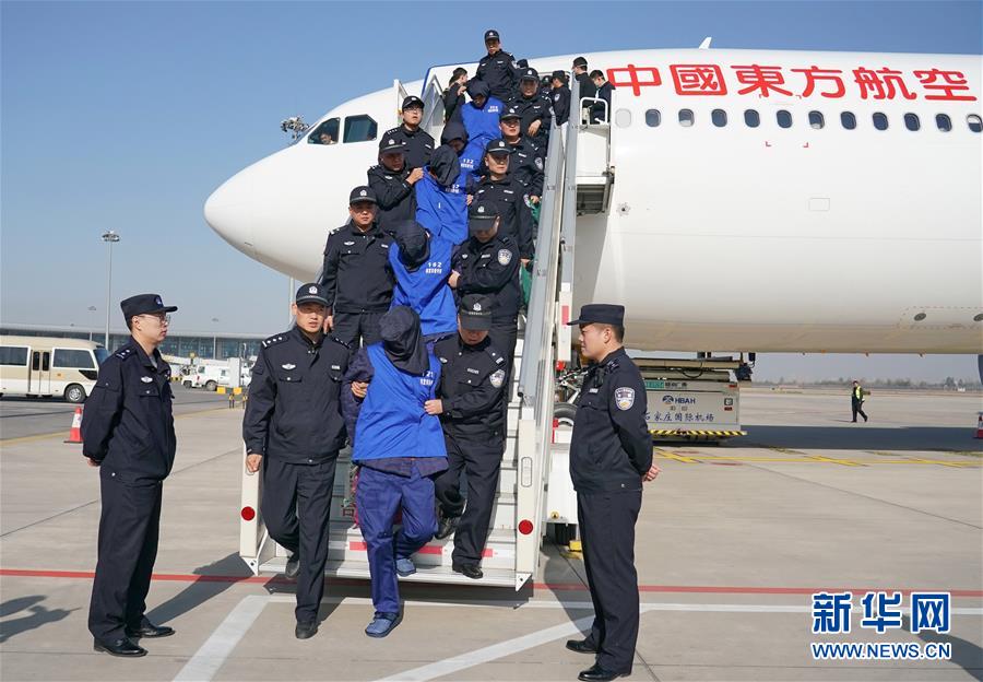 11月14日-11月20日国内一周热图