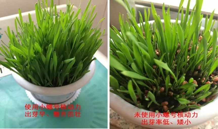 核动力能提供多大动力,核动力能一直提供能量吗