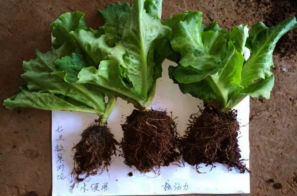 核动力能提供多大动力,核动力能一直提供能量吗