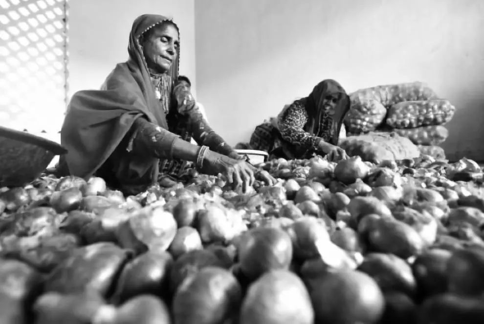 一颗洋葱让我泪流满面,印度为什么会出现洋葱危机