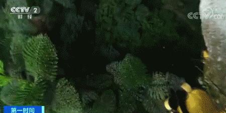 绝不坑人害人,决不坑蒙拐骗