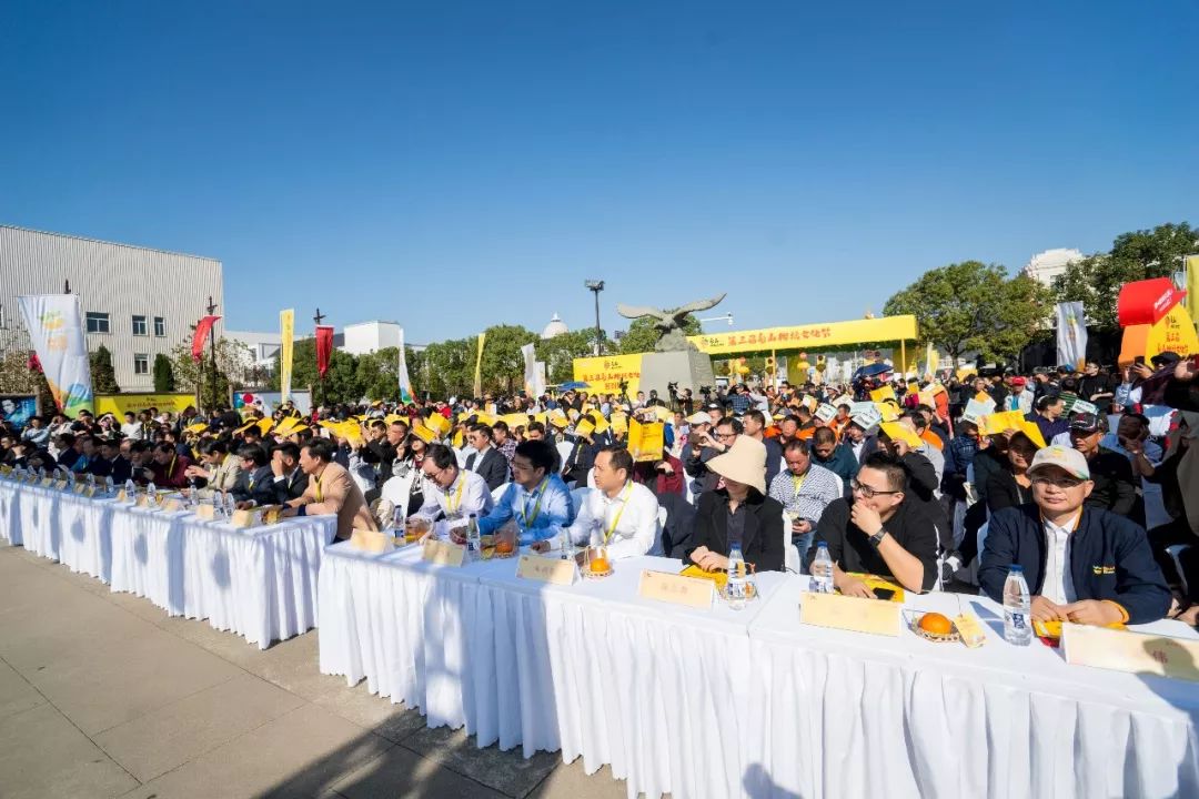 象山文化节视频,象山枇杷节开幕式