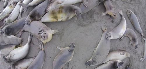 无人机怪异视频,无人机拍到的怪异视频