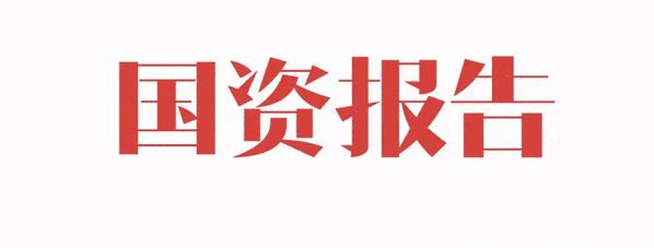 混改公司流程,企业混改七种模式