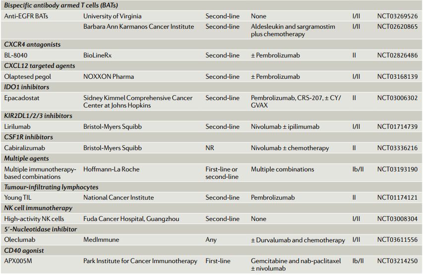 一文盘点：胰腺癌的靶向治疗和免疫治疗研究进展