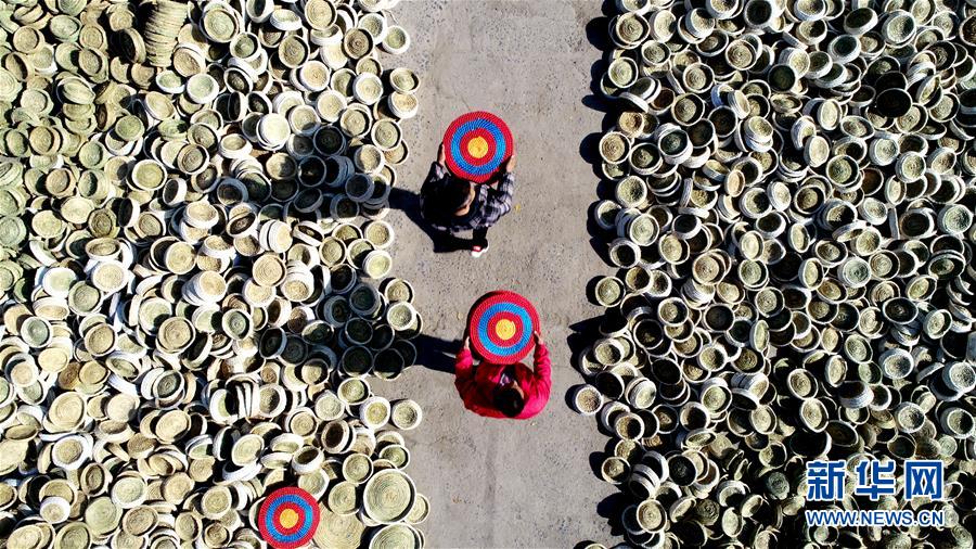 11月14日-11月20日国内一周热图