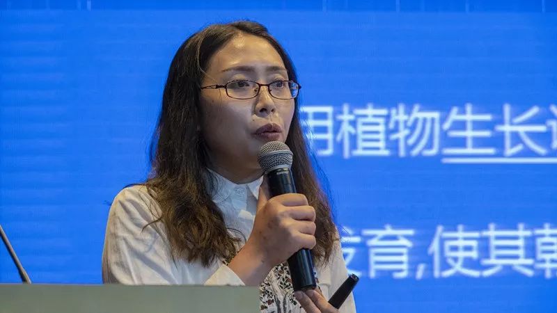 三角梅漳州培育基地,福建漳州三角梅产业