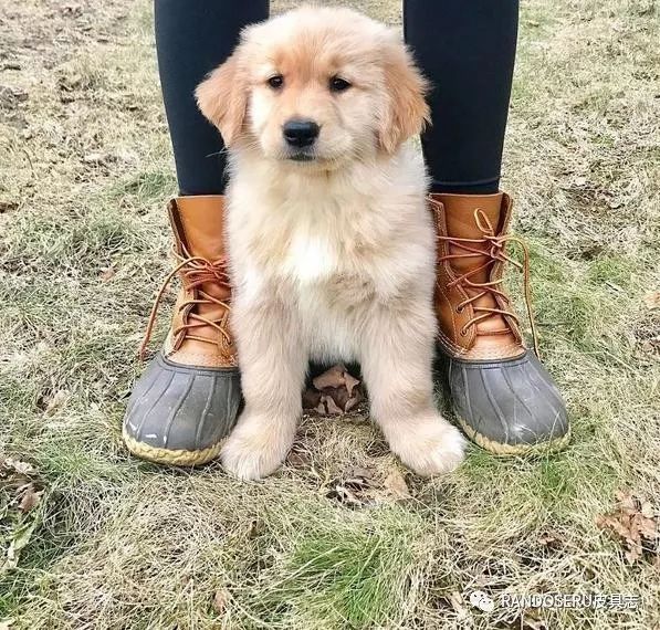 一双冷门的鞋子,一双丑到爆炸的鞋子