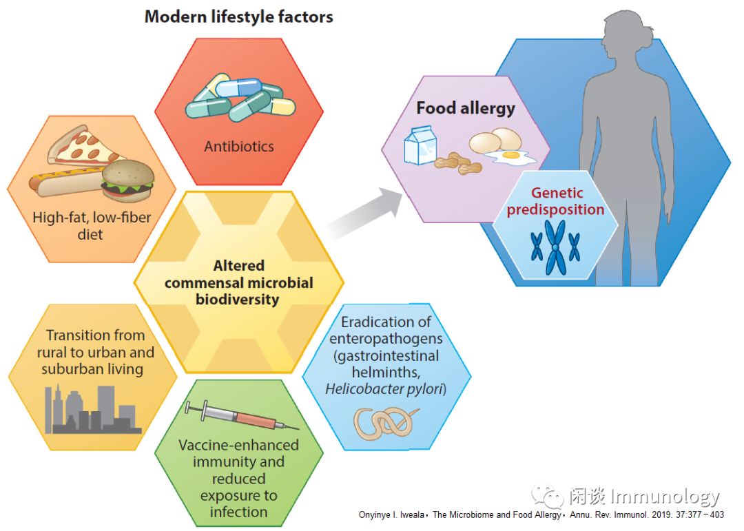 食物过敏究竟有多可怕,食物过敏国内外指南及解读