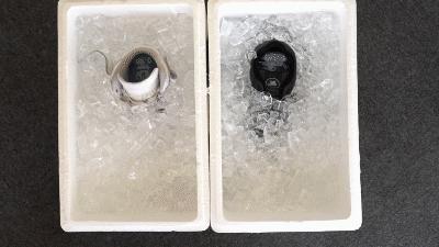 零下50度不冻防寒服,极地零下70度防寒鞋