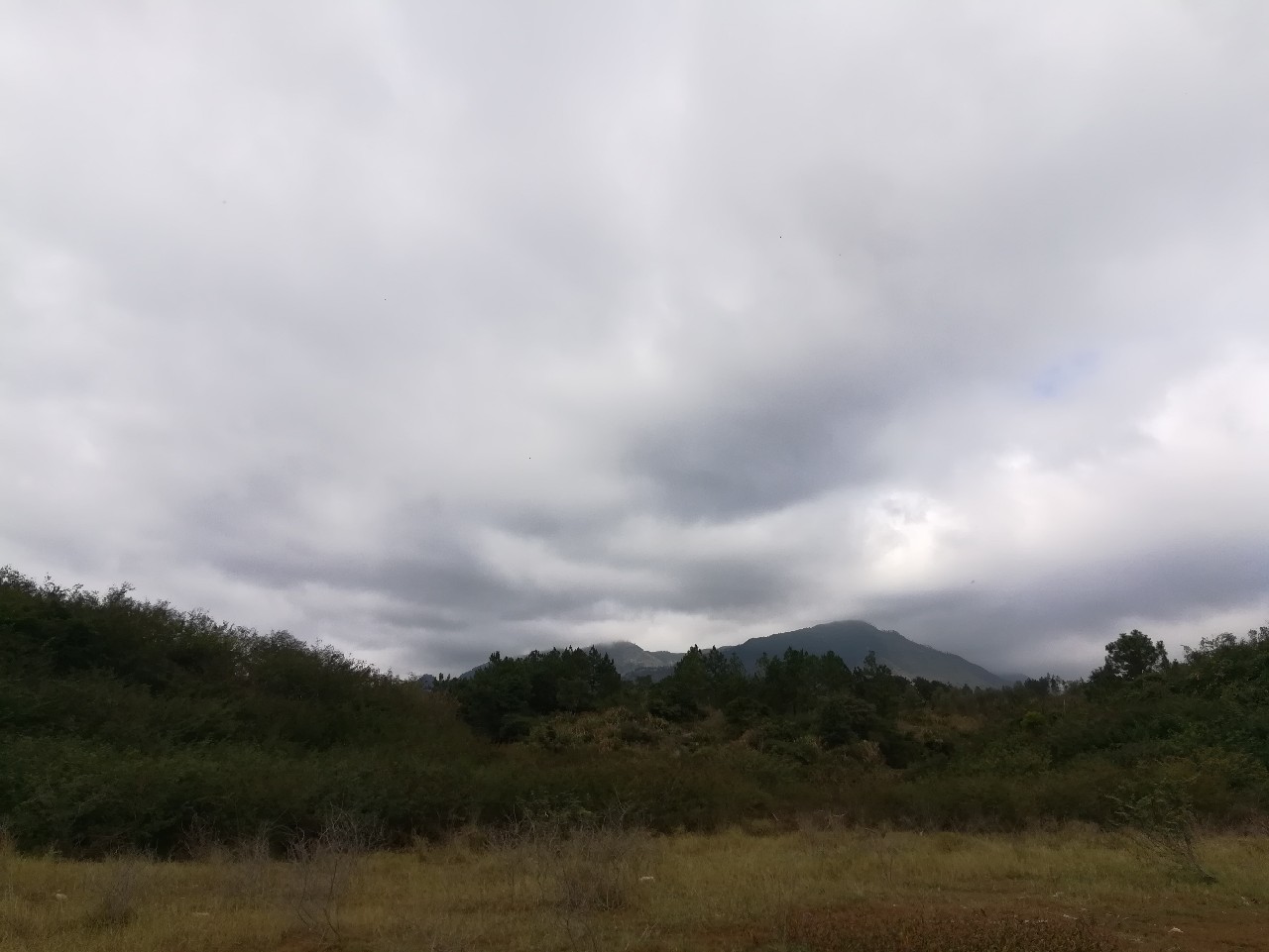 不钓鱼全是烦恼,不钓鱼心里没味道