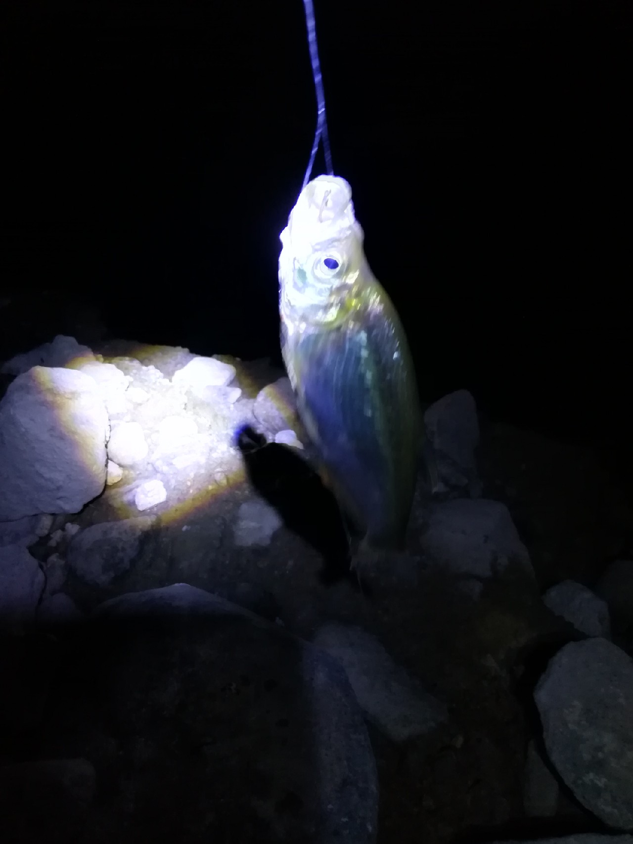 不钓鱼全是烦恼,不钓鱼心里没味道