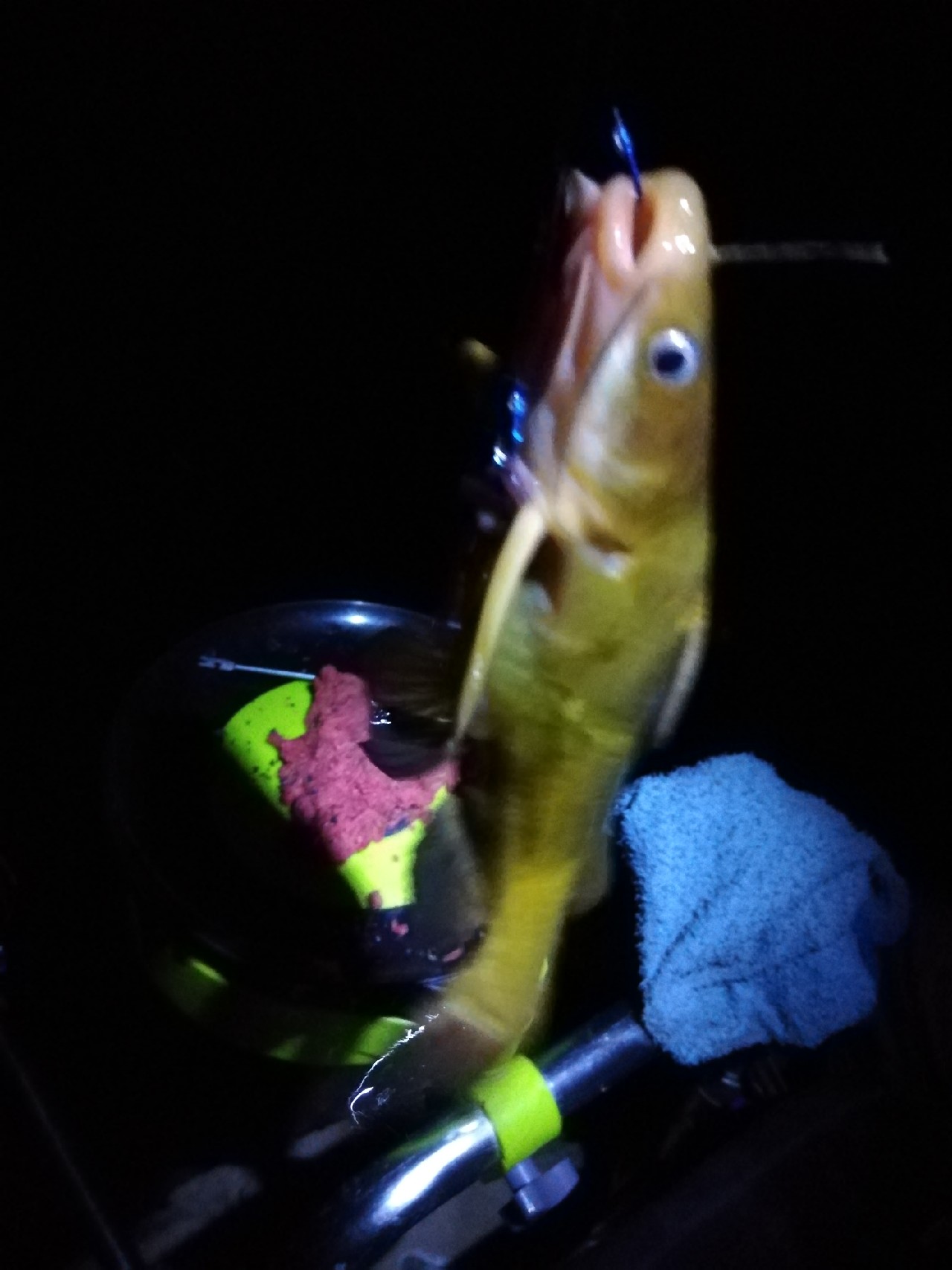 不钓鱼全是烦恼,不钓鱼心里没味道