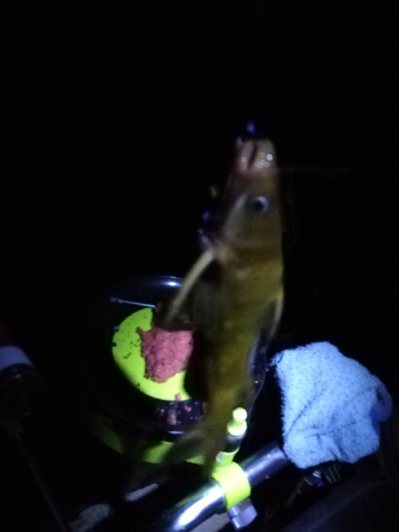 不钓鱼全是烦恼,不钓鱼心里没味道