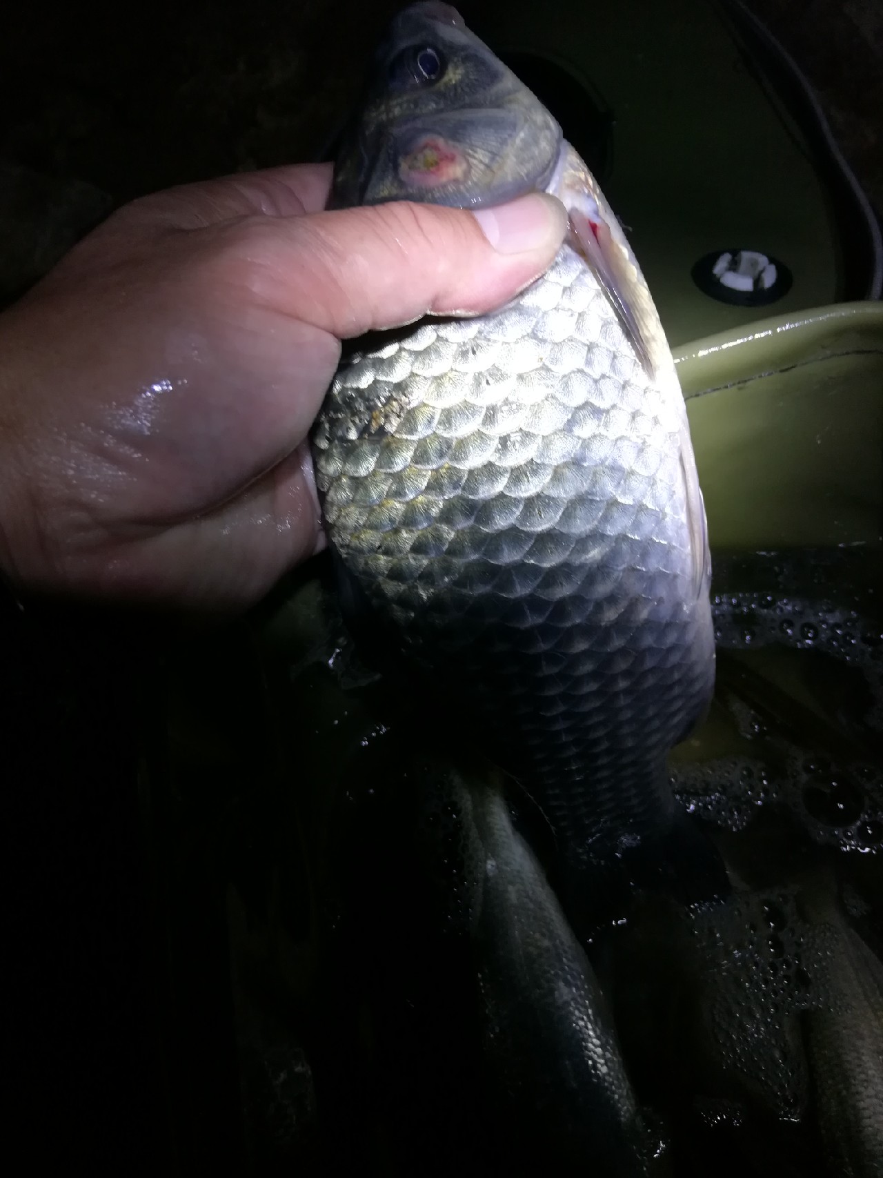 不钓鱼全是烦恼,不钓鱼心里没味道