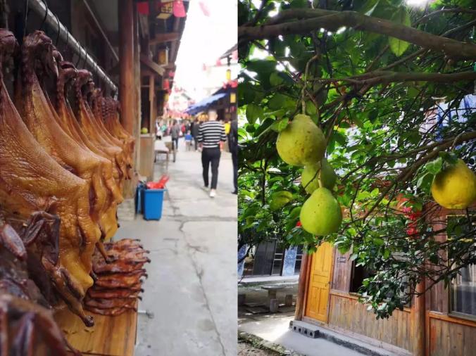 灏借缇庢櫙閫告父澶╀笅,灏芥徑缇庢櫙