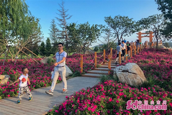 羊亭公园布局,羊亭公园对比林泉河公园