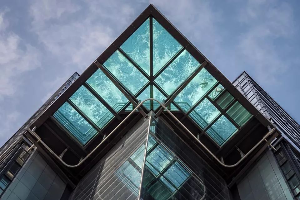 恐高症慎入风景区,恐高慎入沉浸式体验