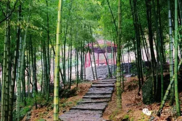 爬山推荐哪座山北仑,爬完桐庐所有的山