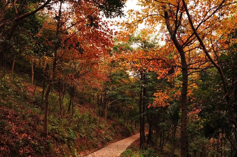 爬山推荐哪座山北仑,爬完桐庐所有的山