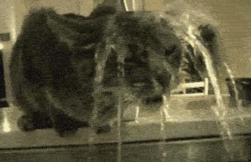 敷面膜前的正确步骤,面膜几天敷一次最好