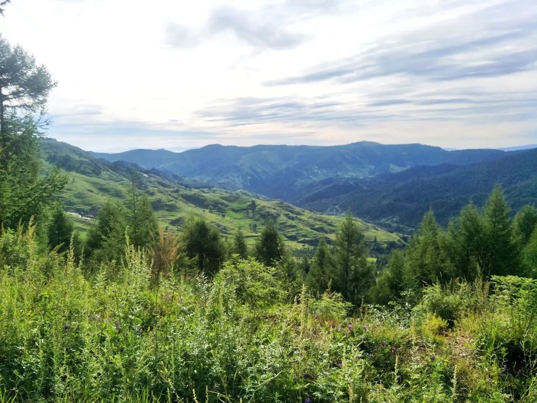 中国宝石排名,中国宝石宝藏大全