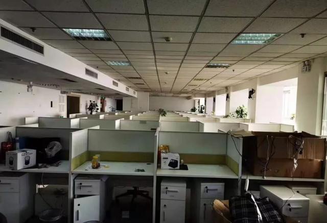 炒壳之王全新好“换脑大戏”