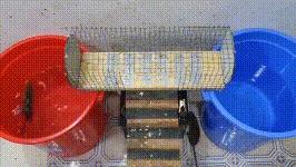 深圳罗湖灭鼠,除虫灭鼠深圳