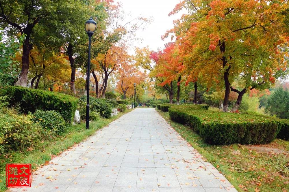 钟灵毓秀第二季,钟灵毓秀第二季全集