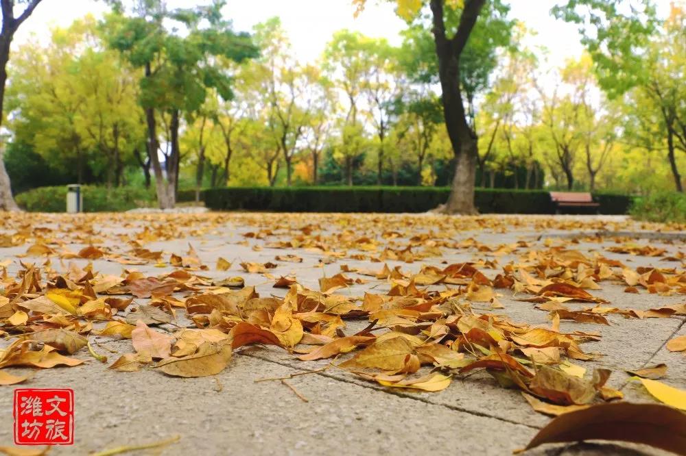 钟灵毓秀第二季,钟灵毓秀第二季全集